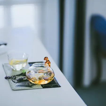 帕拉斯伊利卡汽车旅馆 酒店 2*